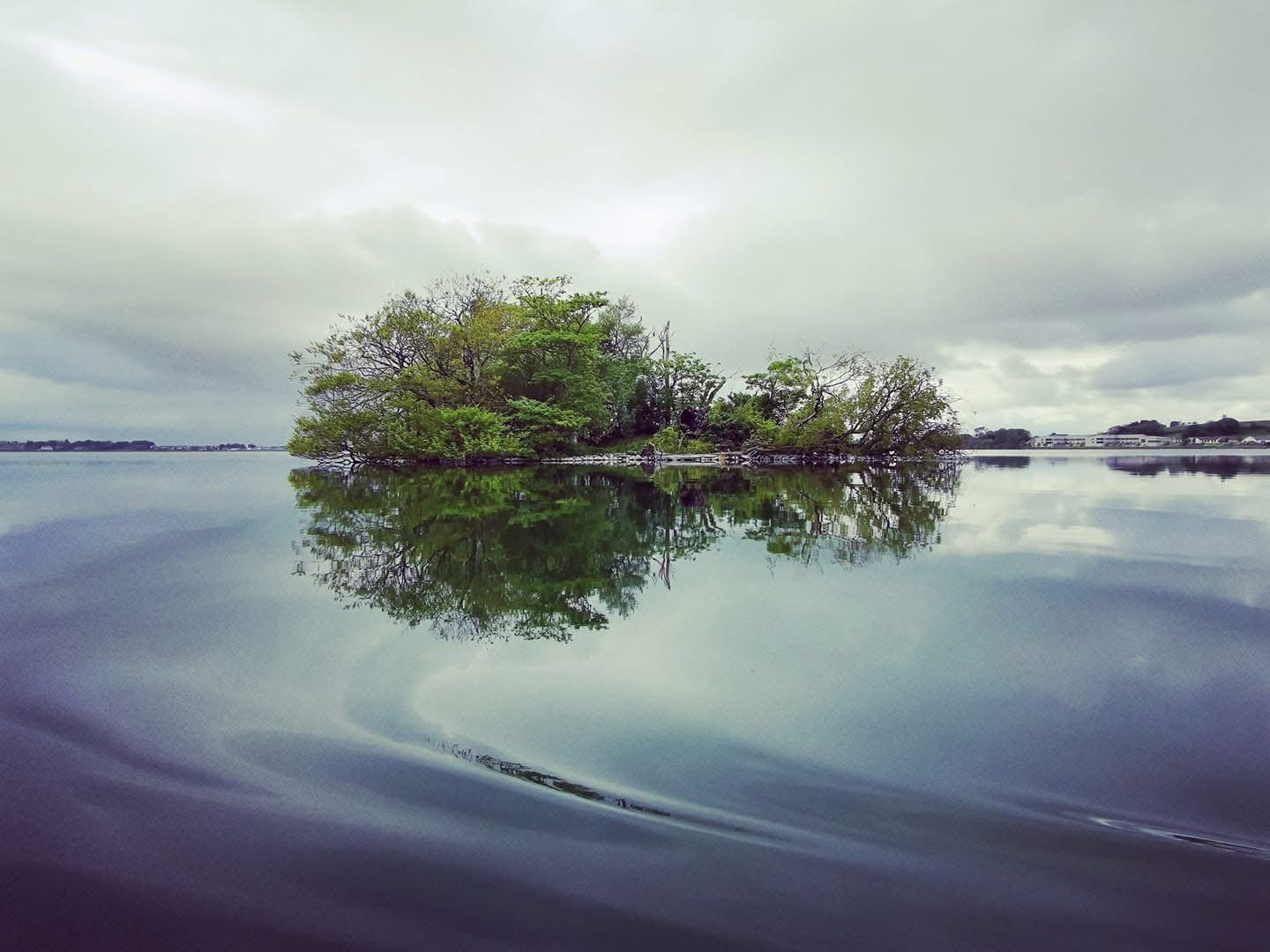 Ash Island — Lough Rea summer reflection