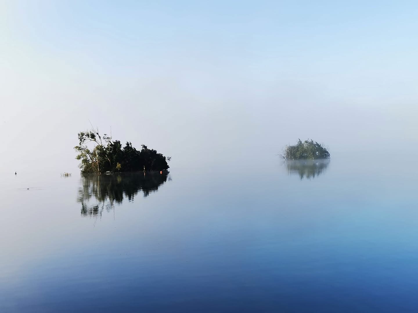 Island McCoo emerging through morning mist — Lough Rea